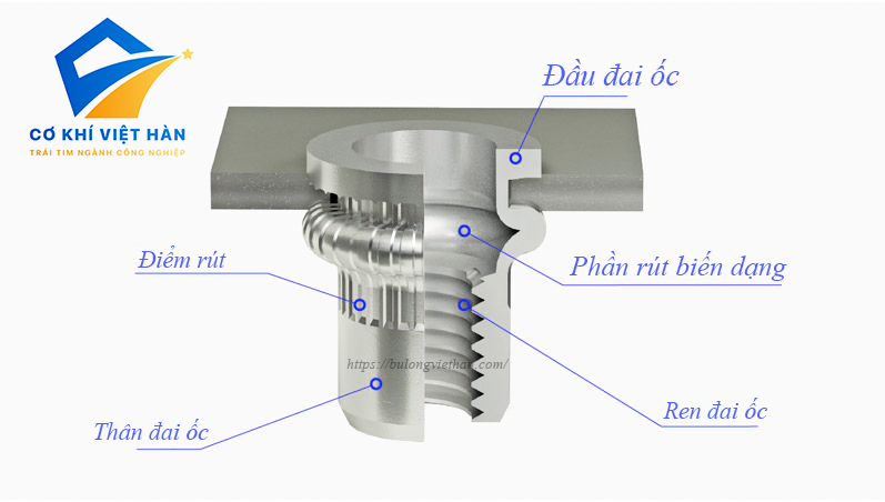 cấu tạo đai ốc rút