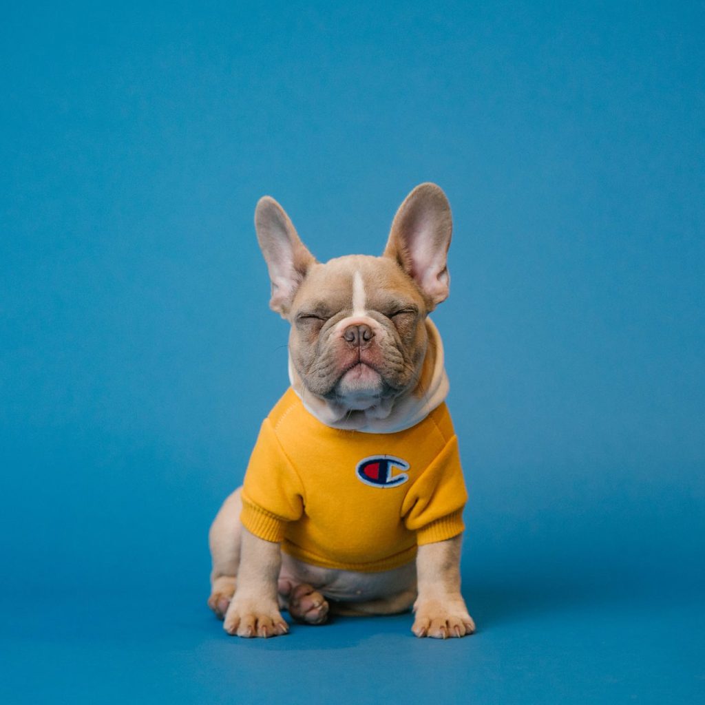 Bu Lông Inox Cơ Khí Việt Hàn