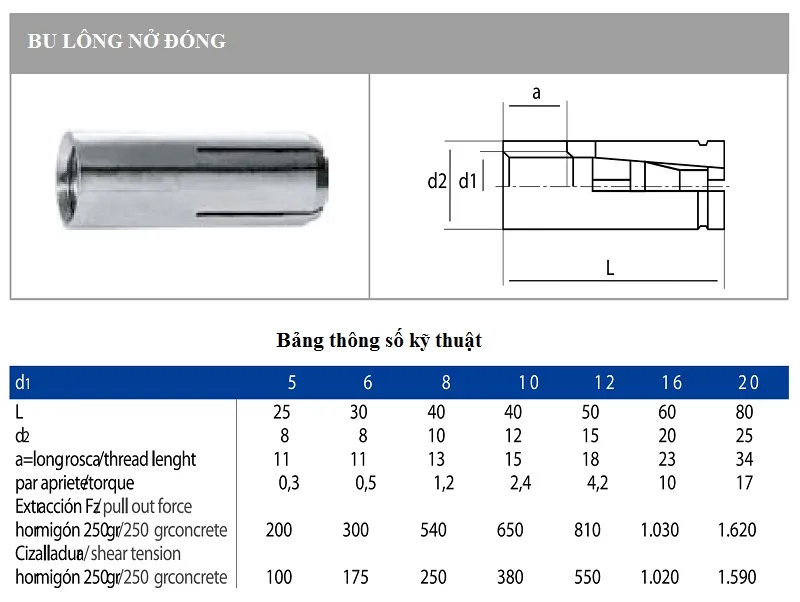 TSKT Nở Đóng Inox (Drop-In Anchor)